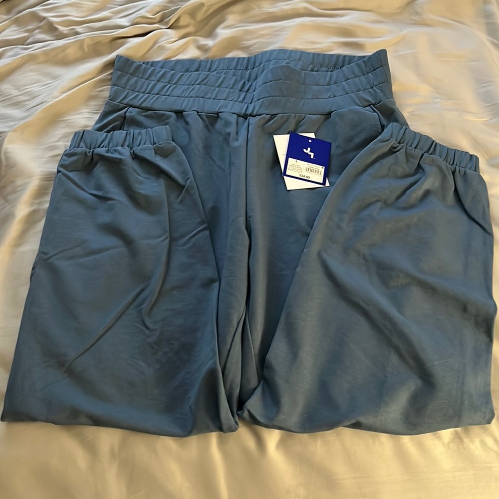 Blue Joy Lab Sweatpants